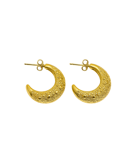 Boucle d'oreille Camilia | Acier Inoxydable